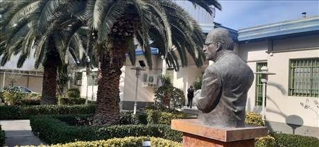 حیات